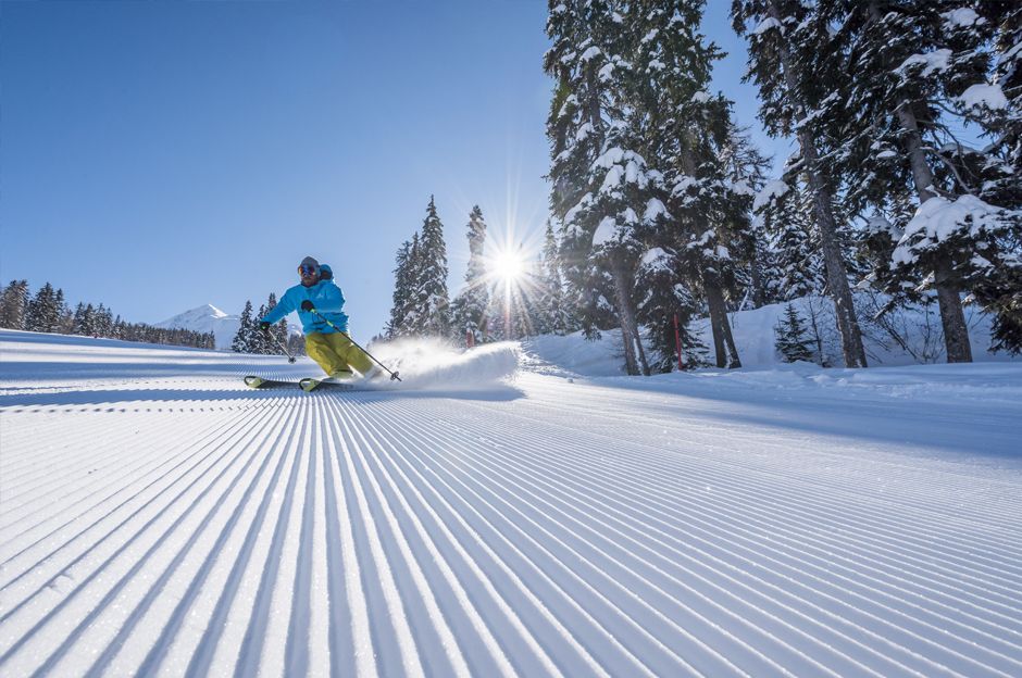 Tree skiing in Peisey Vallandry