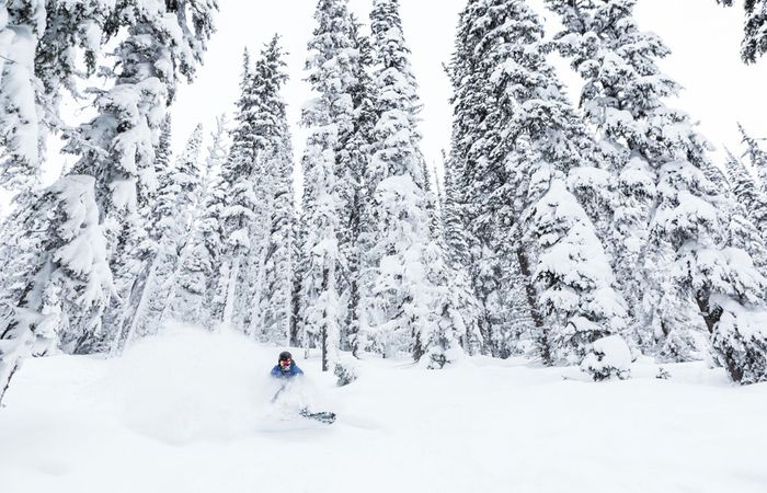 Best Powder Ski Resorts In The World