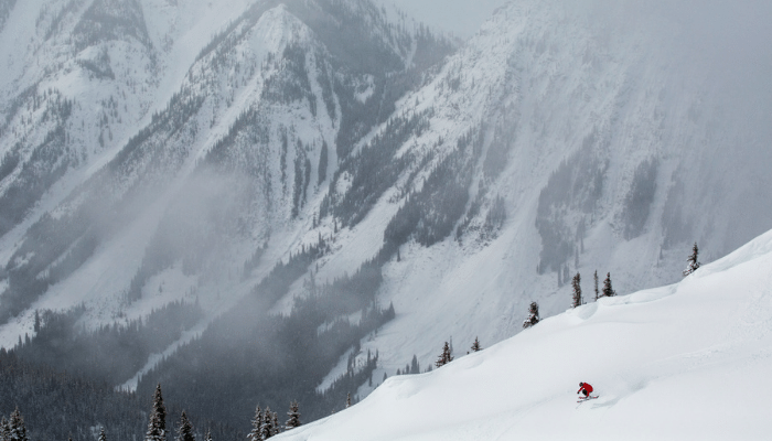 Kicking Horse