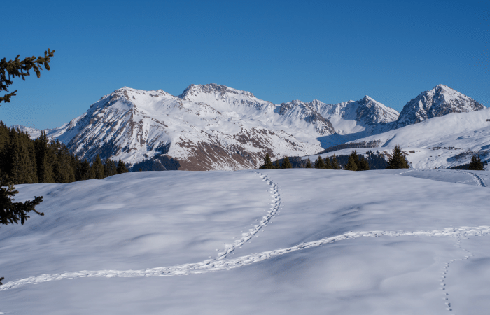 Skiing In Switzerland For Beginners 