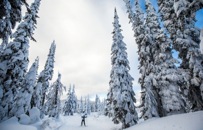 Cross-country skiing holidays