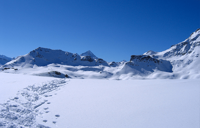 Bluebird in Grimentz