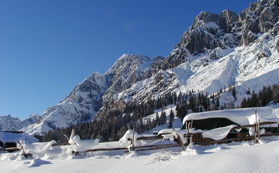 Non-Skiers in Maria Alm