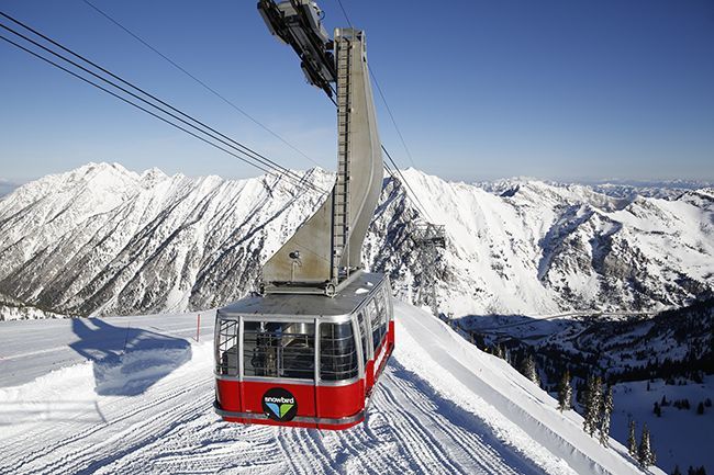 Ski Areas in Snowbird