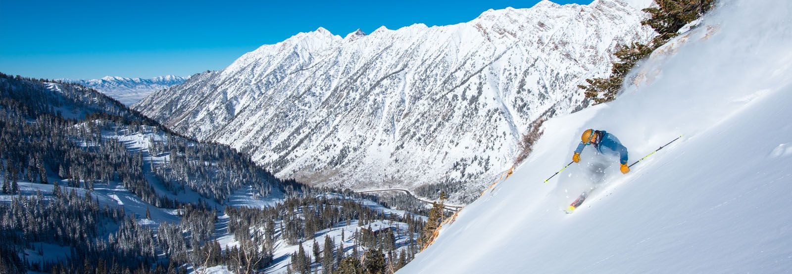 Snowbird Ski Holidays