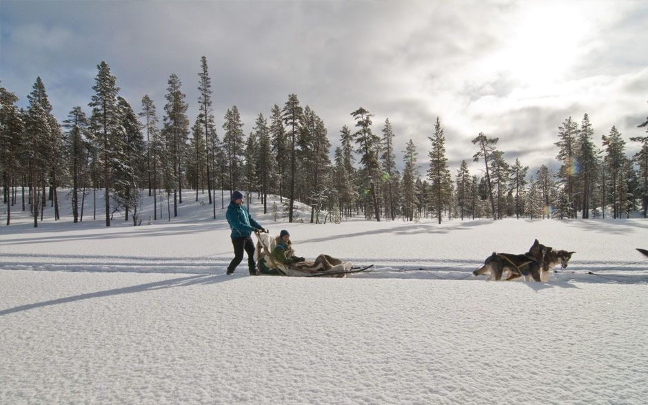 Non-Skiers in Trysil