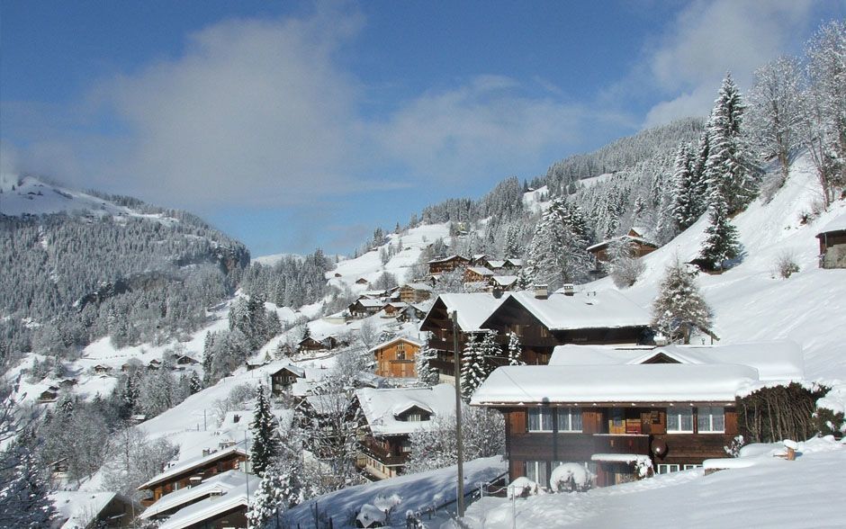 Ski Areas in Wengen