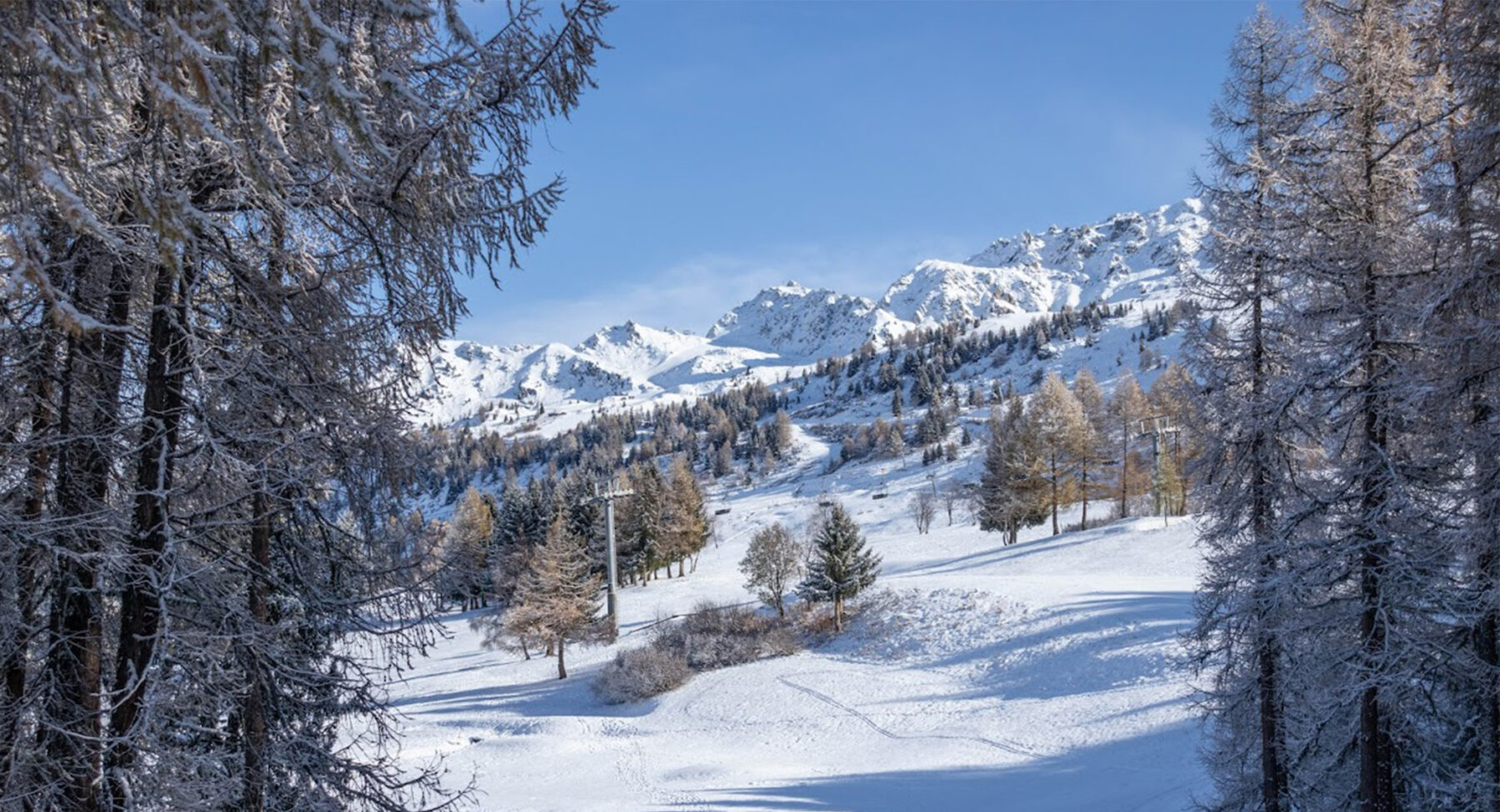 Mountains through the treeline at Les Arcs 1800