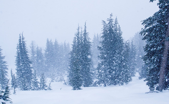 Non-Skiers in Lake Tahoe