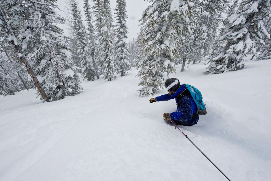 Skiing in Panorama